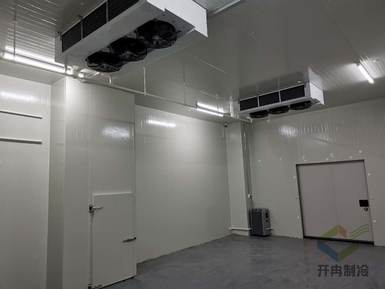 建設(shè)醫(yī)藥包裝自動化冷庫安裝，自動化冷藏庫有哪些優(yōu)點(diǎn)？