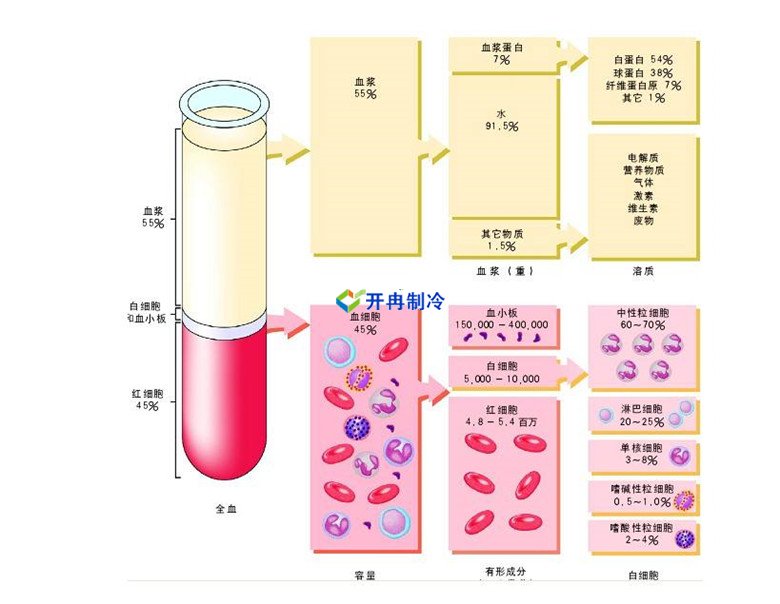 -30℃～-80℃血漿蛋白低溫冷凍庫規范，冷庫安裝價格